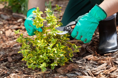 Seasonal lawn care services in Leyton