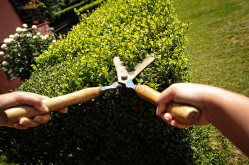 Modern tree lopping machinery used by professionals