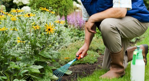 Residential property enhanced by expert tree care services