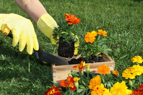 Eco-friendly lawn mowing equipment in a Leyton garden