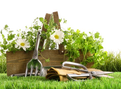 Garden clearance process with professionals in Leyton