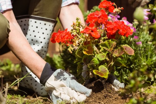Seasonal lawn care practices being implemented in Leyton