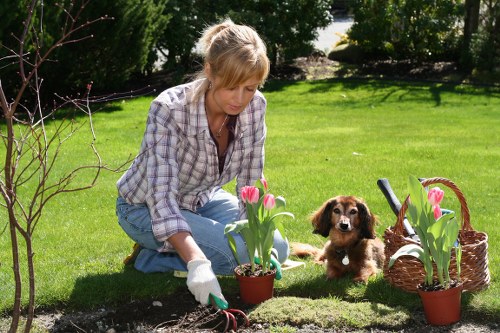 Seasonal garden maintenance tasks in Leyton