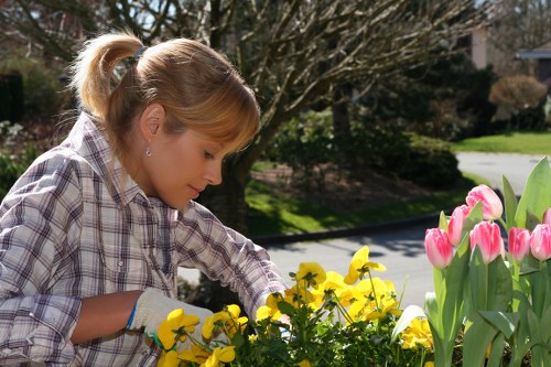 A woman with blonde hair tied back is tending to a flower bed in a residential garden on a sunny day. She is wearing a checkered shirt and gardening gloves, carefully tending to yellow and pink tulips alongside other flowering plants. The garden features a well-maintained lawn with lush green grass, bordered by a paved pathway and a variety of shrubs and trees in the background. The scene shows natural sunlight illuminating the outdoor space, with shadows cast by the trees, indicating a clear, bright day. The garden appears tidy, with a mix of flowering plants and neatly trimmed greenery, reflecting typical landscaping and gardening care services offered in Leyton, London. The environment suggests a peaceful private garden setting, suitable for outdoor maintenance, lawn care, and planting activities.